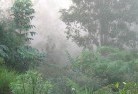 Nilluplandscaping-irrigation-4.jpg; ?>